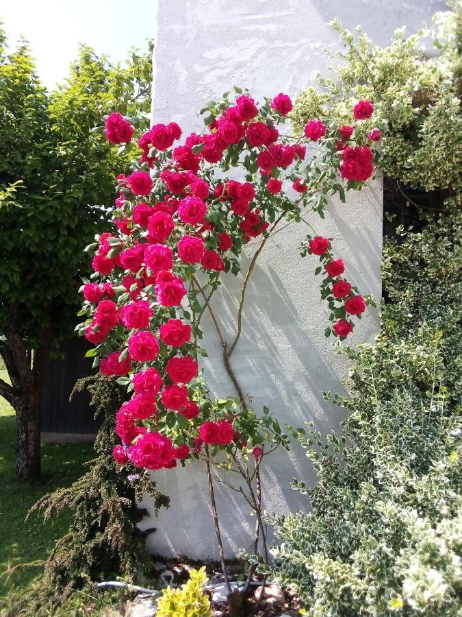B&B La Casa Di Loretta Paderno Bagian luar foto