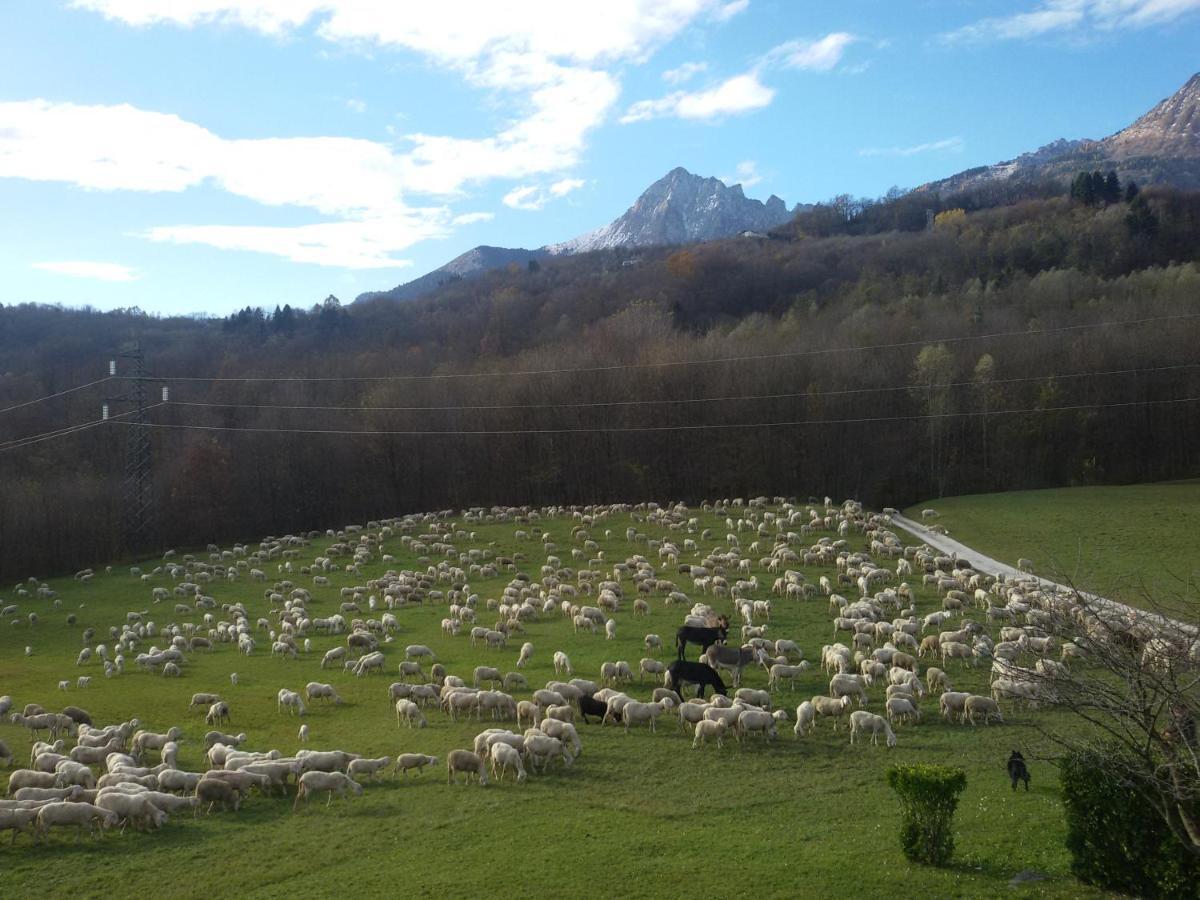 B&B La Casa Di Loretta Paderno Bagian luar foto