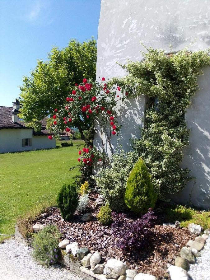 B&B La Casa Di Loretta Paderno Bagian luar foto